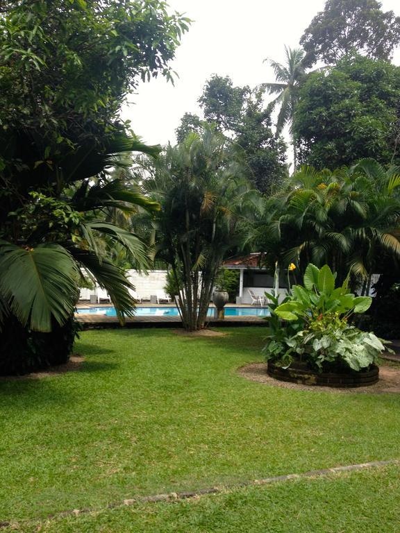 Fire Dragon Hideaway Hotel Negombo Kültér fotó