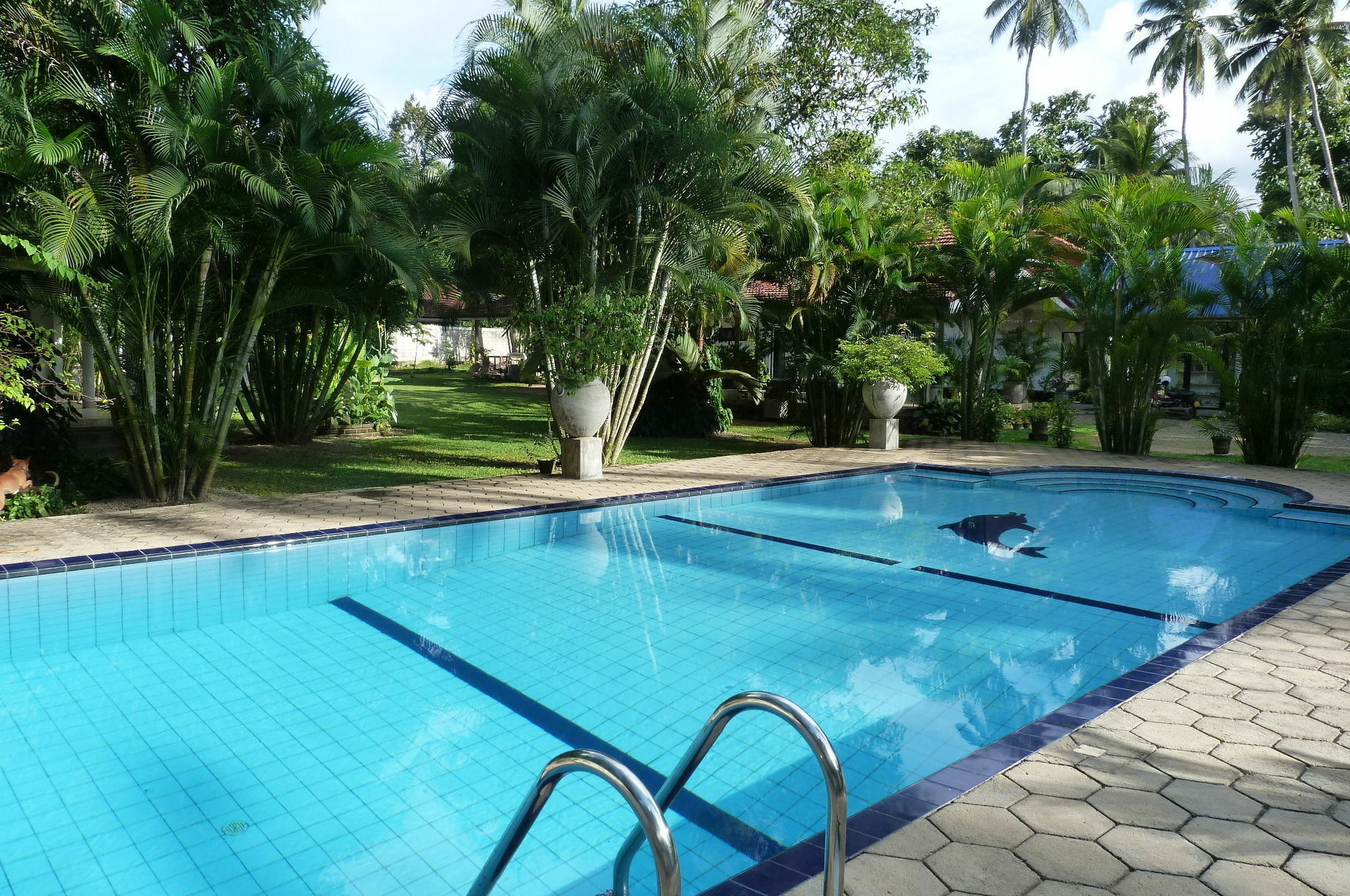 Fire Dragon Hideaway Hotel Negombo Kültér fotó