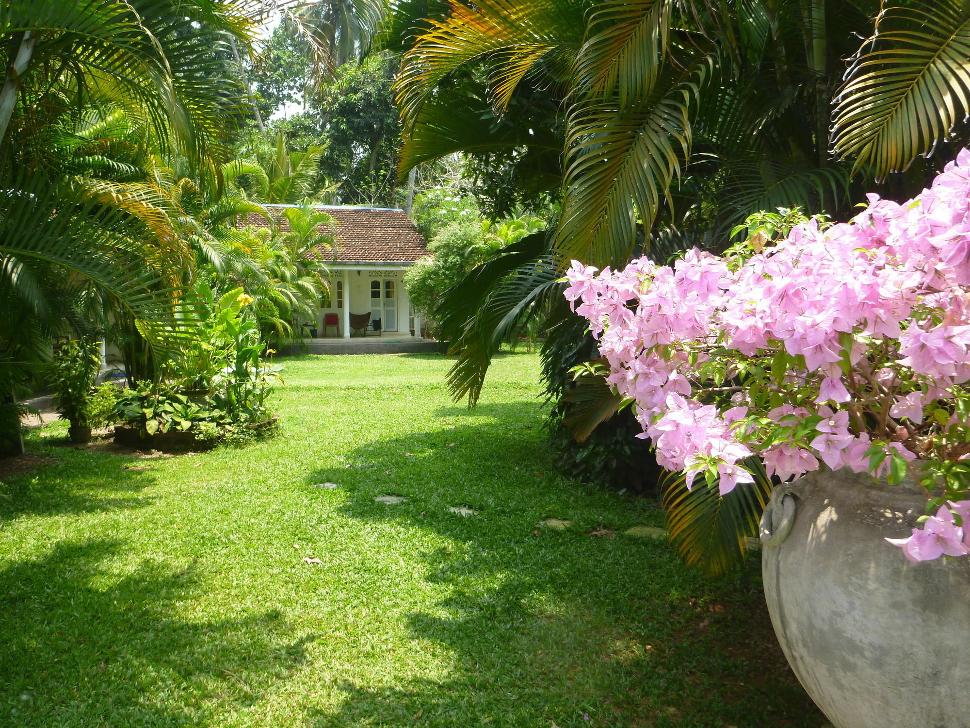 Fire Dragon Hideaway Hotel Negombo Kültér fotó