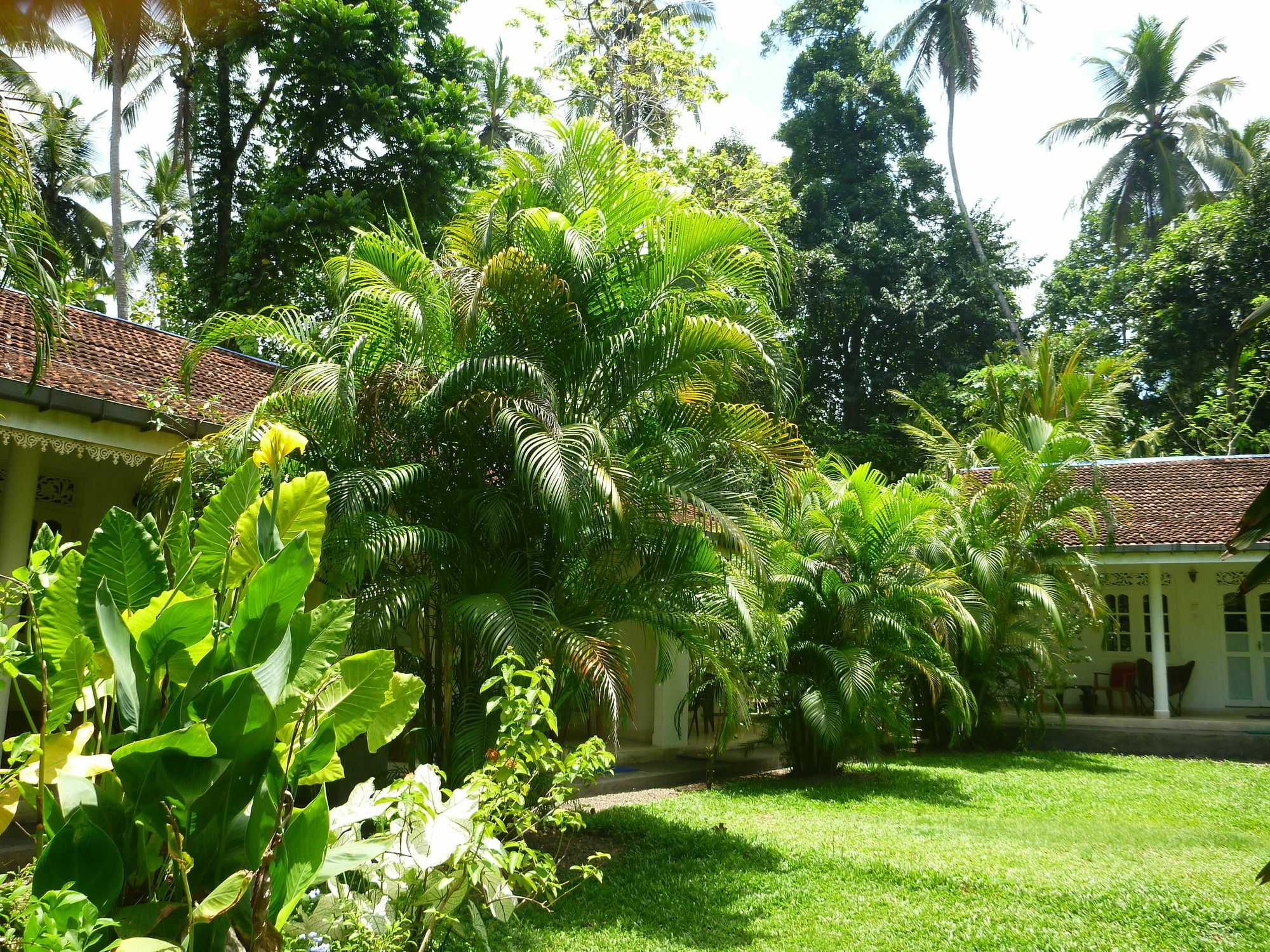 Fire Dragon Hideaway Hotel Negombo Kültér fotó